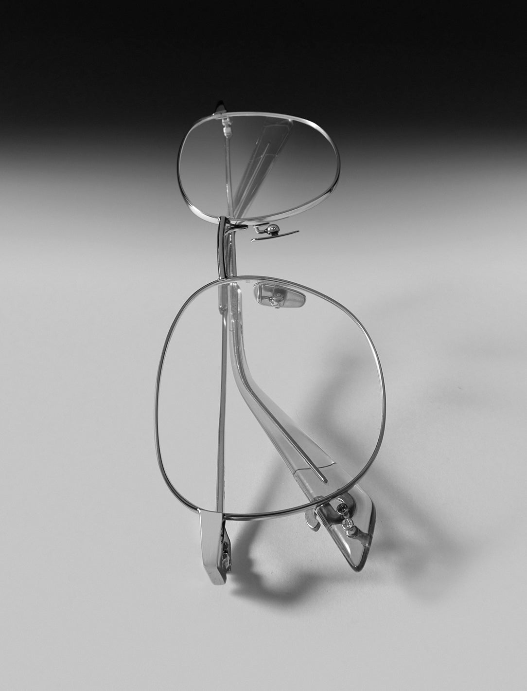 THE VERTEBRA 24