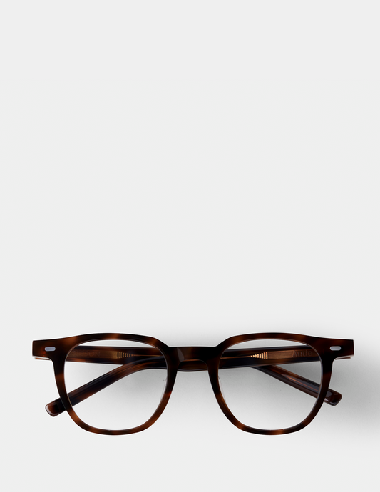 Brown-Havana-2