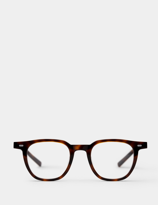 Brown-Havana-3