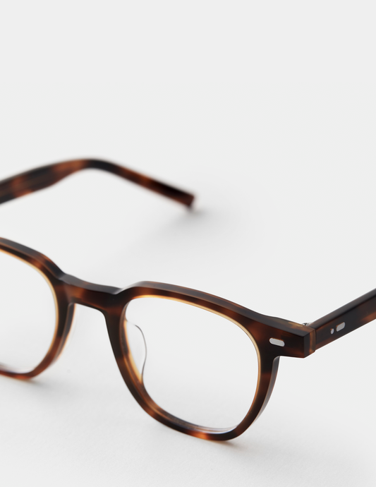 Brown-Havana-4